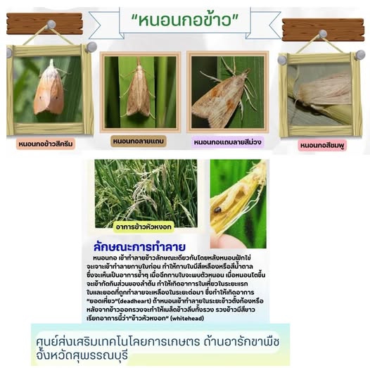 เตือนการเฝ้าระวัง