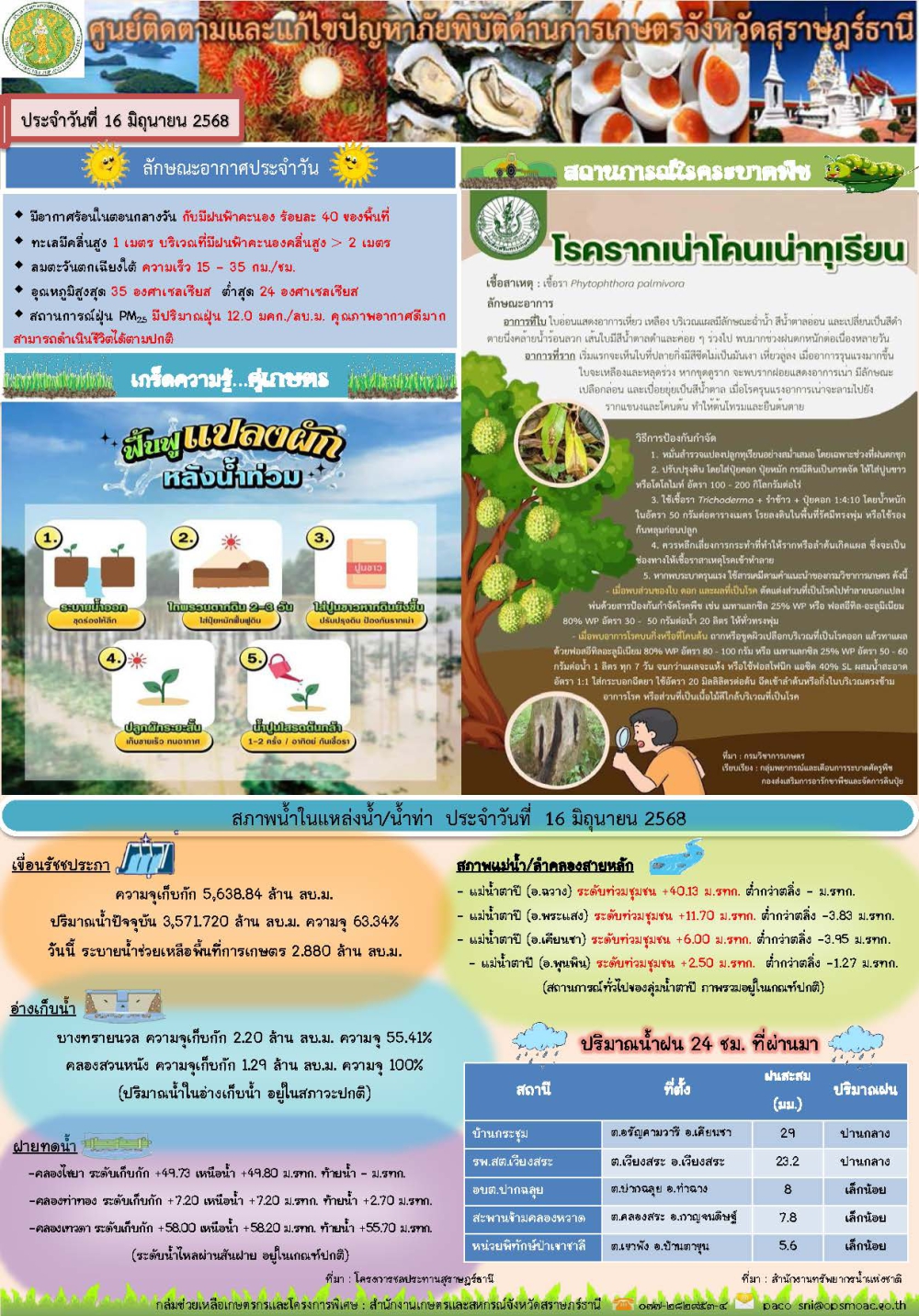 รายงานสถานการณ์ประจำวัน