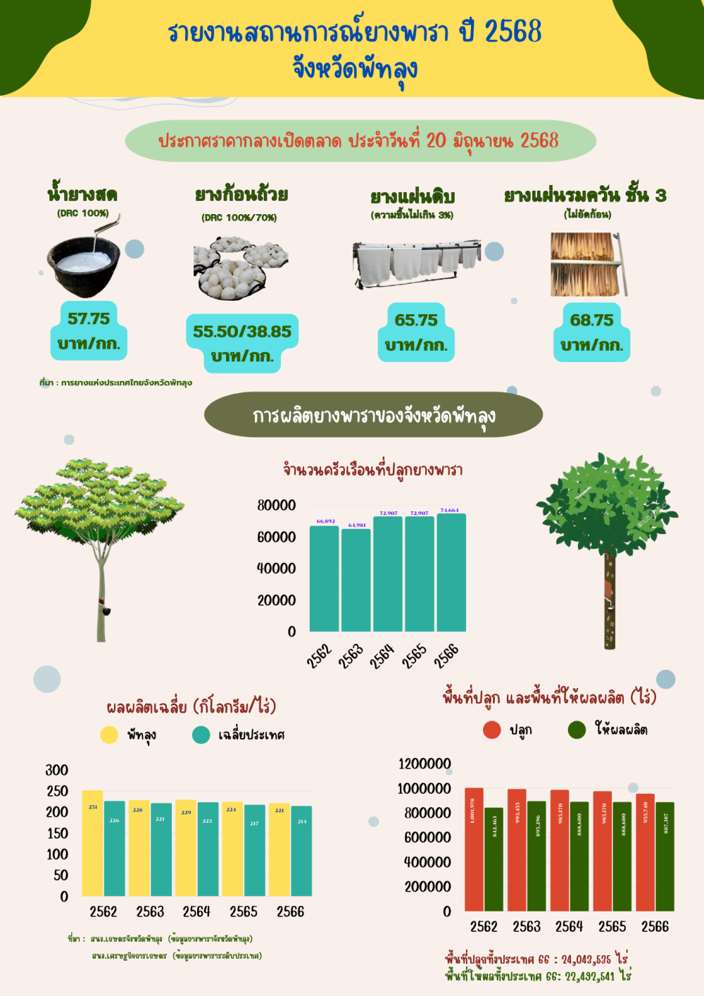 ราคายางพาราประจำวันที่ 20 มิถุนายน 2568