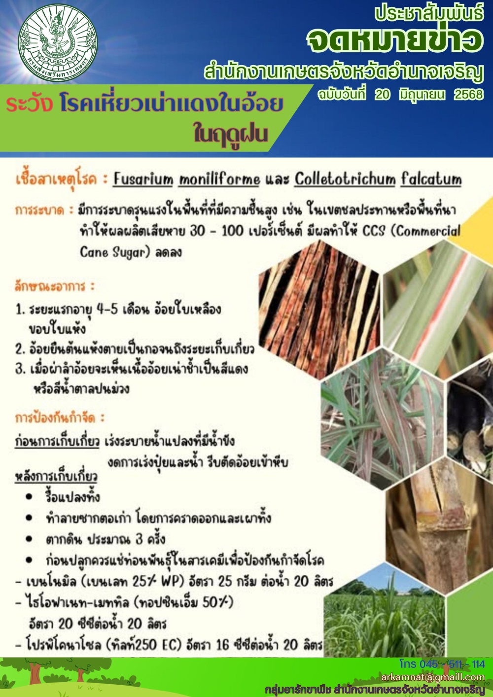 โรคเหี่ยวเน่าแดงในอ้อย