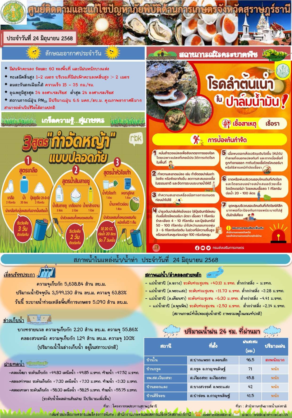 รายงานสถานการณ์ประจำวัน