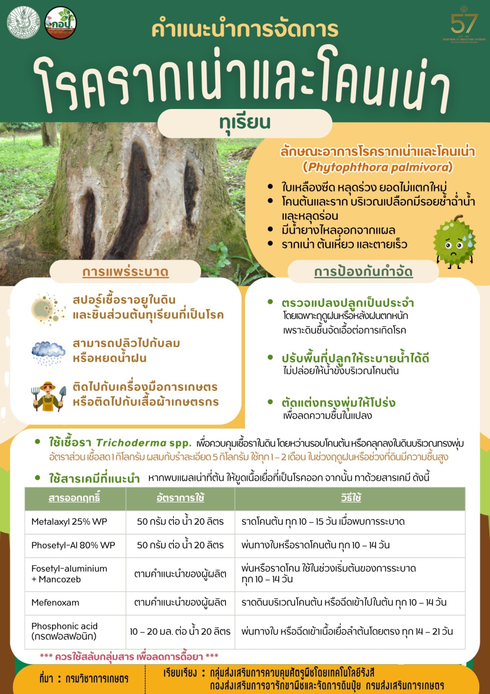 โรครากเน่าและโคนเน่า ทุเรียน จัดการอย่างไร??