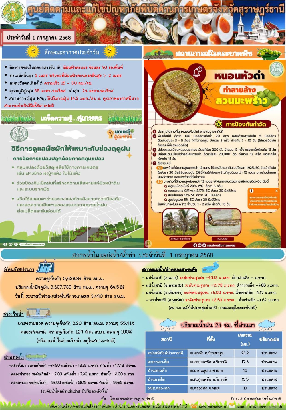 รายงานสถานการณ์ประจำวัน