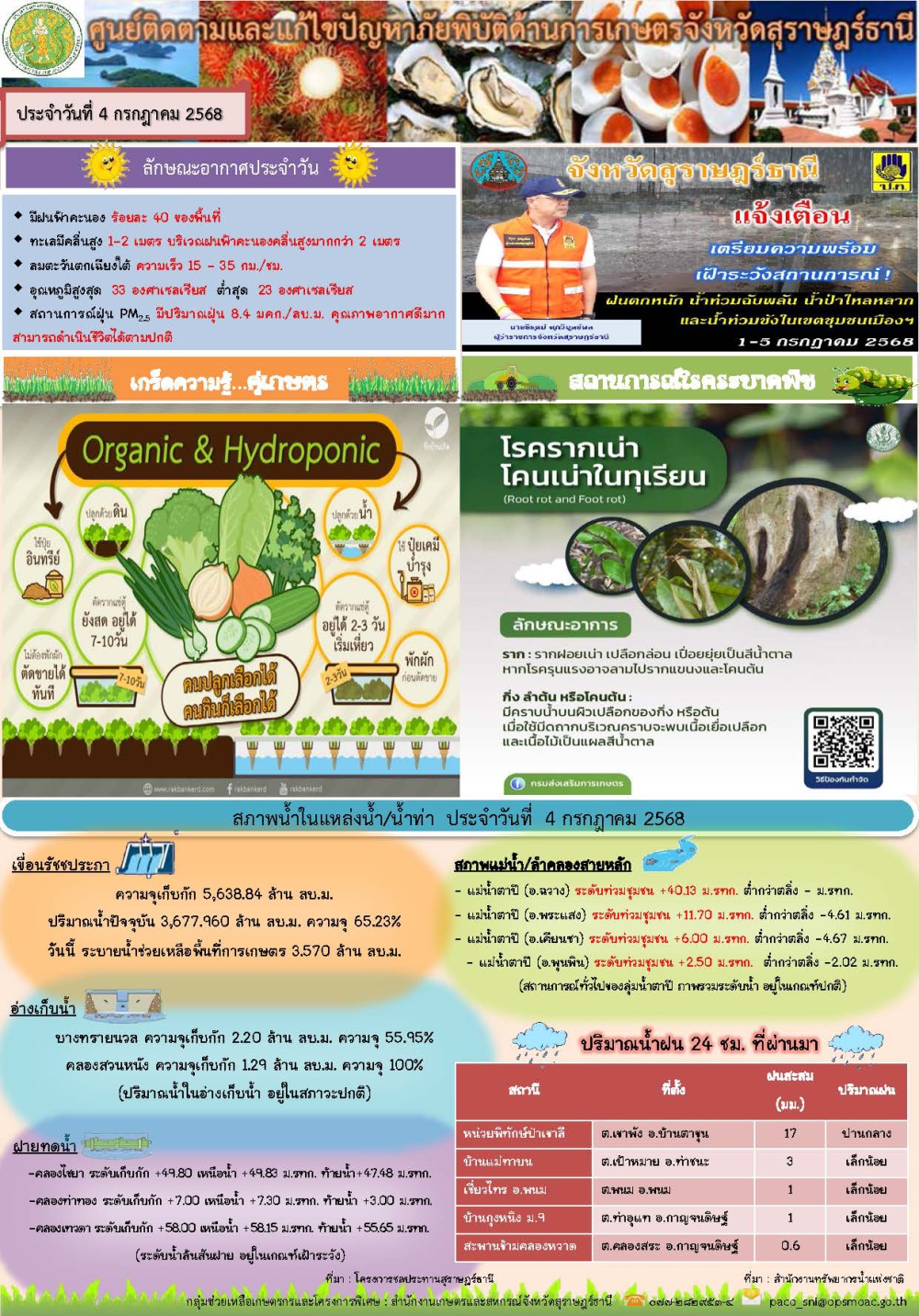 รายงานสถานการณ์ประจำวัน