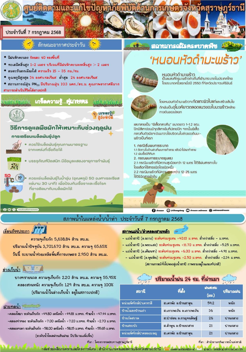 รายงานสถานการณ์ประจำวัน