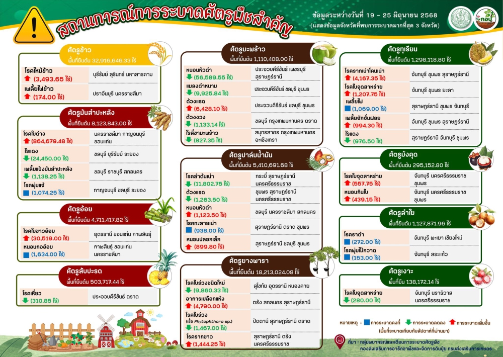 รายงานศัตรูพืชระบาด ข้อมูล ณ วันที่ 25 มิถุนายน 2568