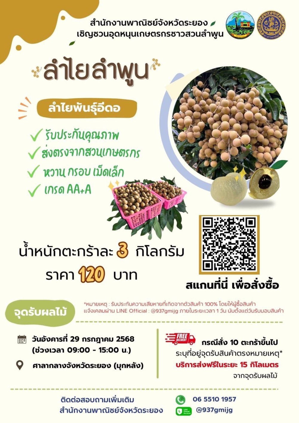 ลำไยลำพูนหวานกรอบอร่อย(ลำไยพันธุ์อีดอ