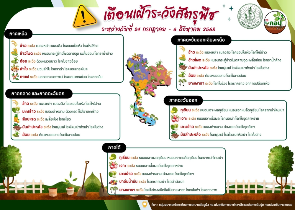 เตือนภัยการเกษตร ช่วงวันที่ 24 กรกฎาคม - 6 สิงหาคม 2568