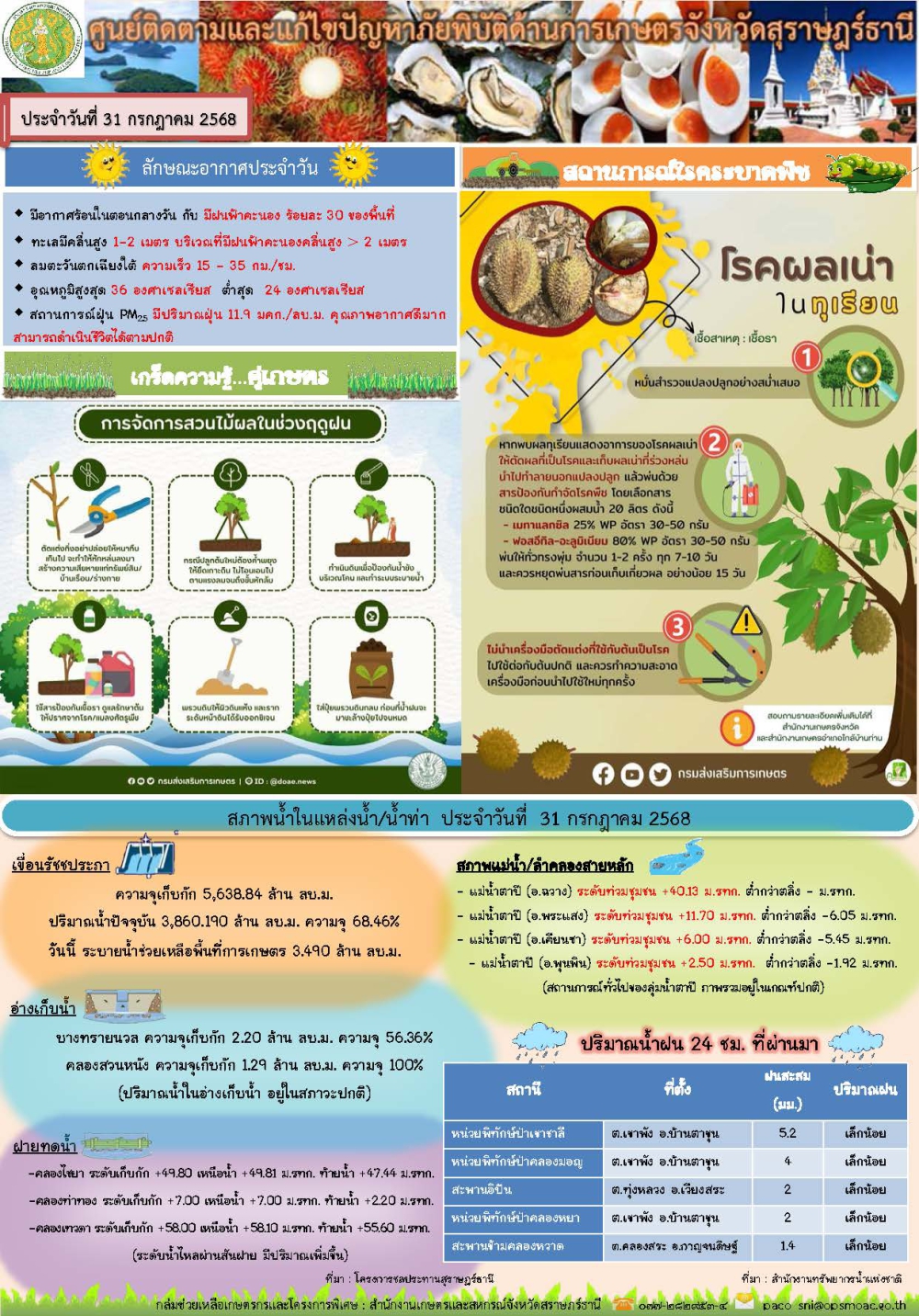 รายงานสถานการณ์ประจำวัน