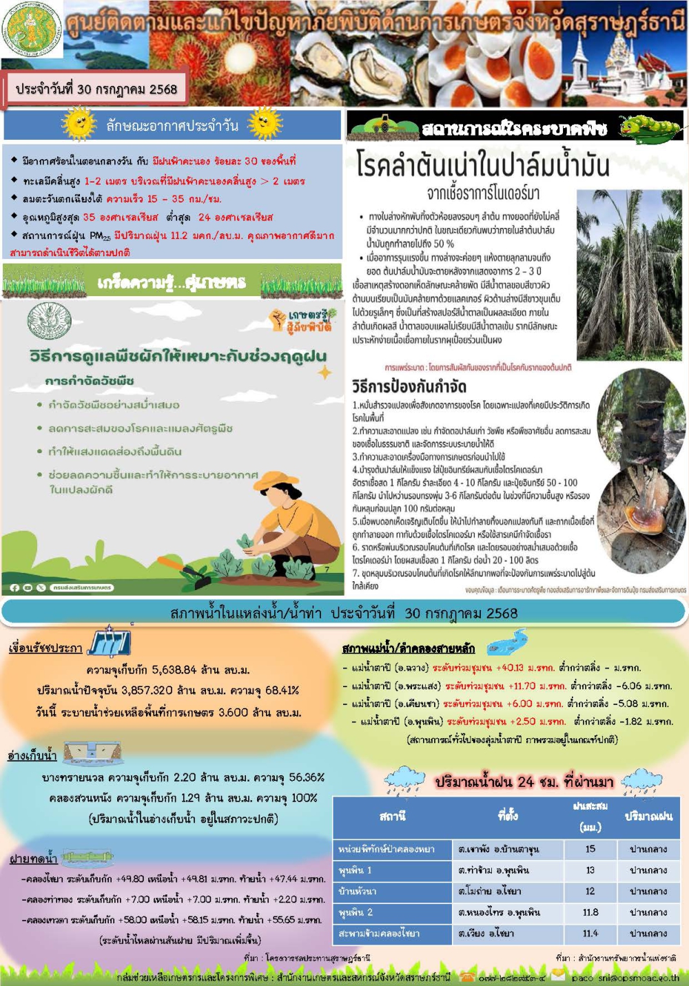 รายงานสถานการณ์ประจำวัน