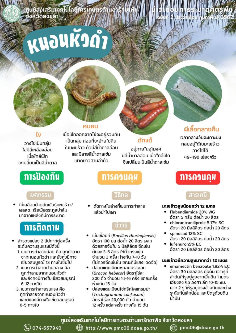 หนอนหัวดำ