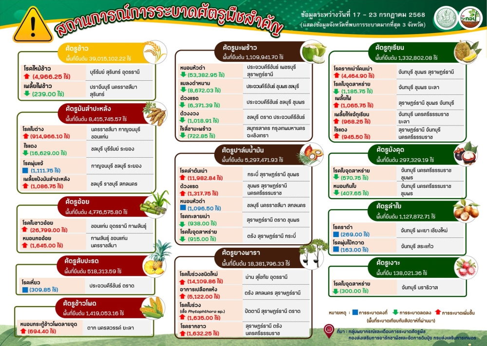 สรุปสถานการณ์การระบาดศัตรูพืชสำคัญ