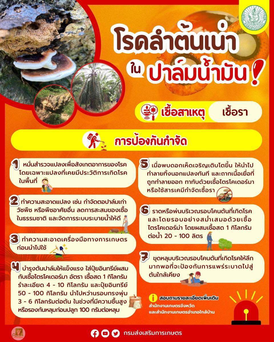 เตือนการเฝ้าระวัง