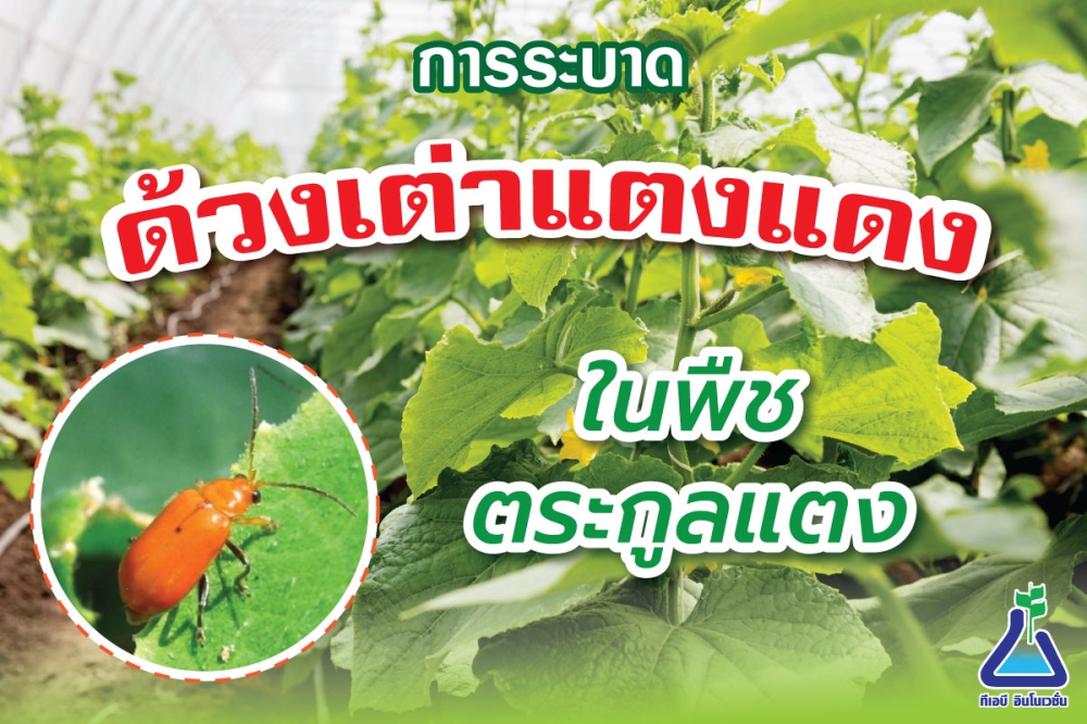 เตือนการเฝ้าระวัง