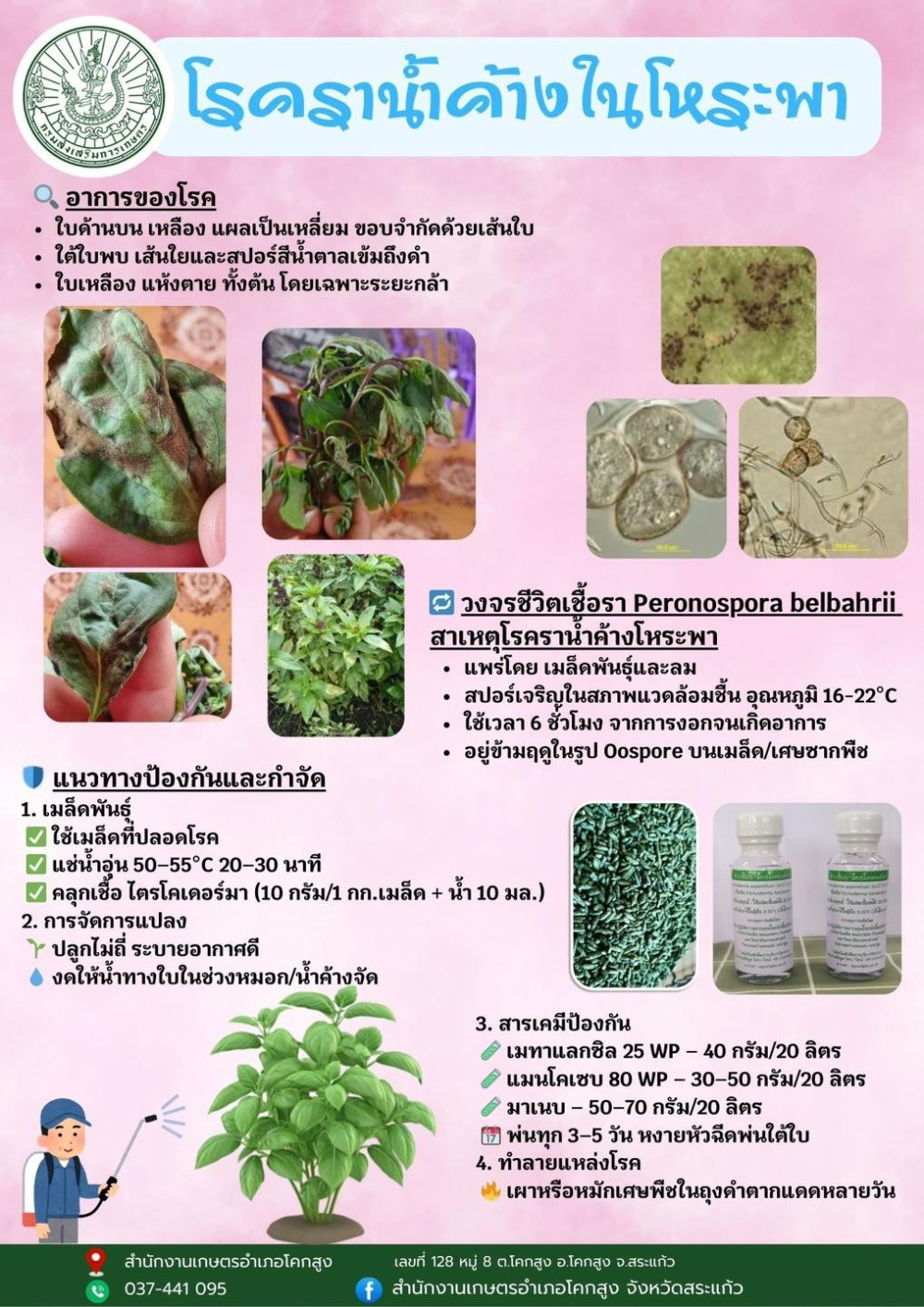 เตือนการเฝ้าระวัง