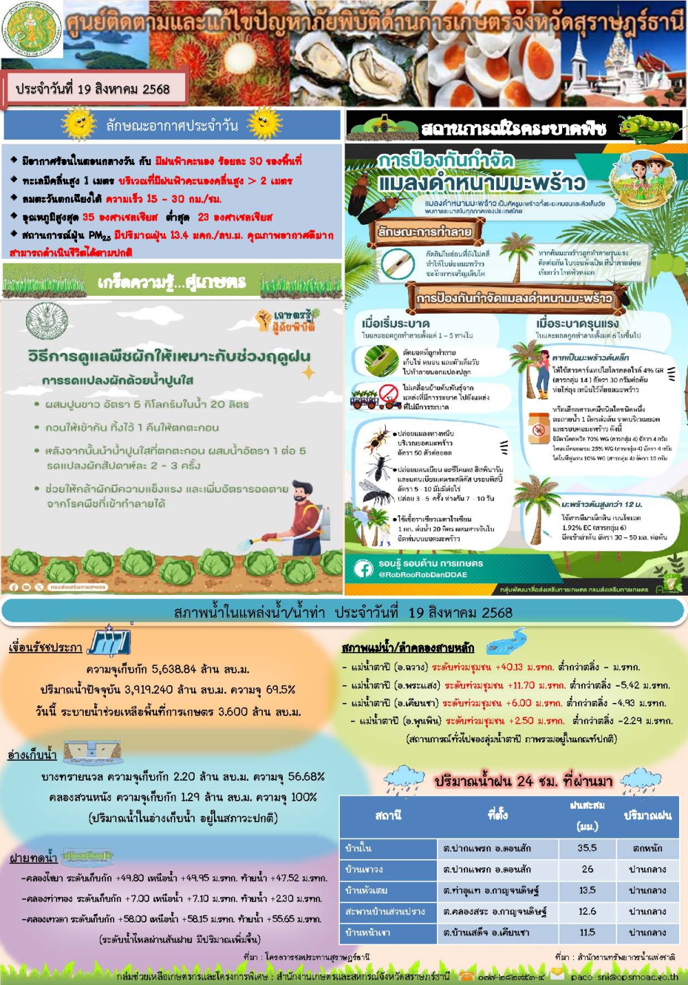 รายงานสถานการณ์ประจำวัน