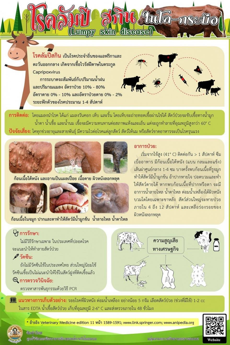 เตือนการเฝ้าระวัง