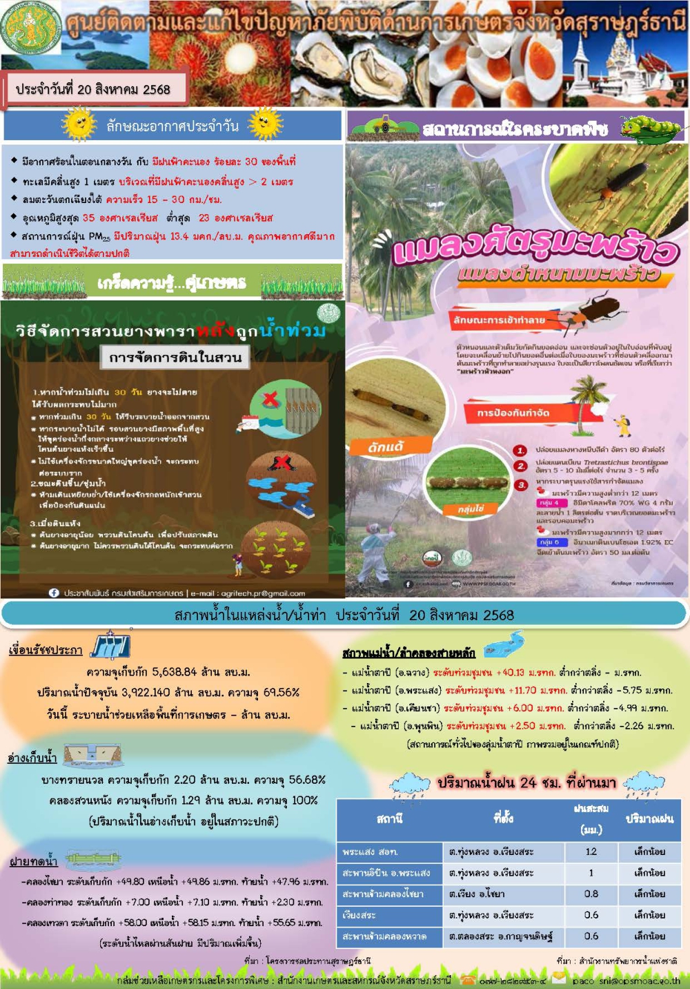 รายงานสถานการณ์ประจำวัน