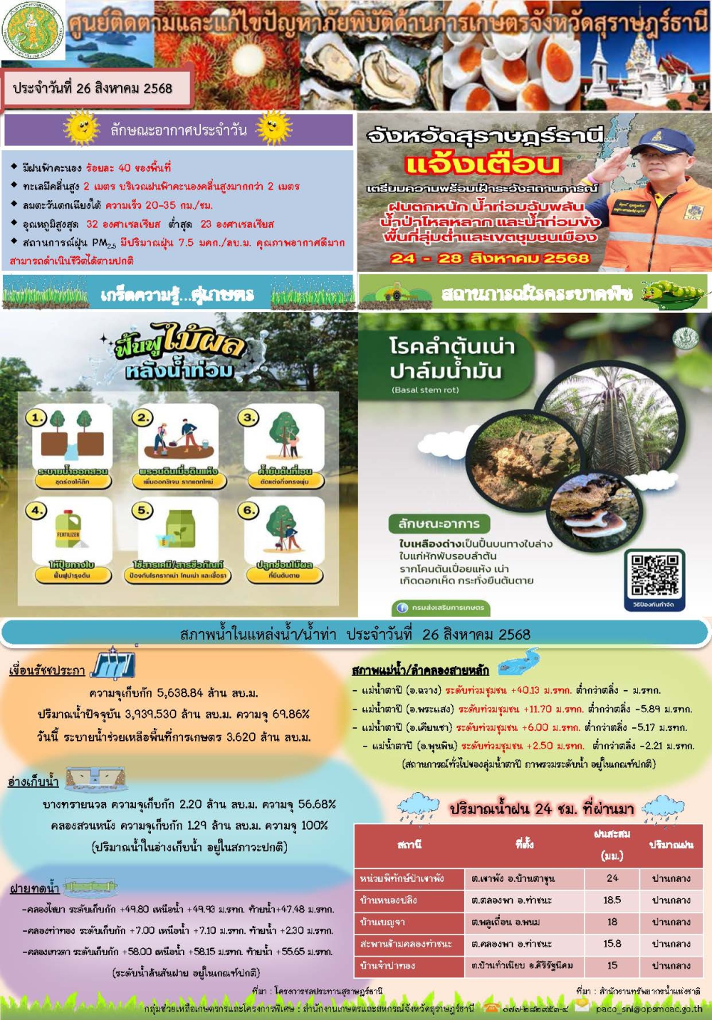 รายงานสถานการณ์ประจำวัน