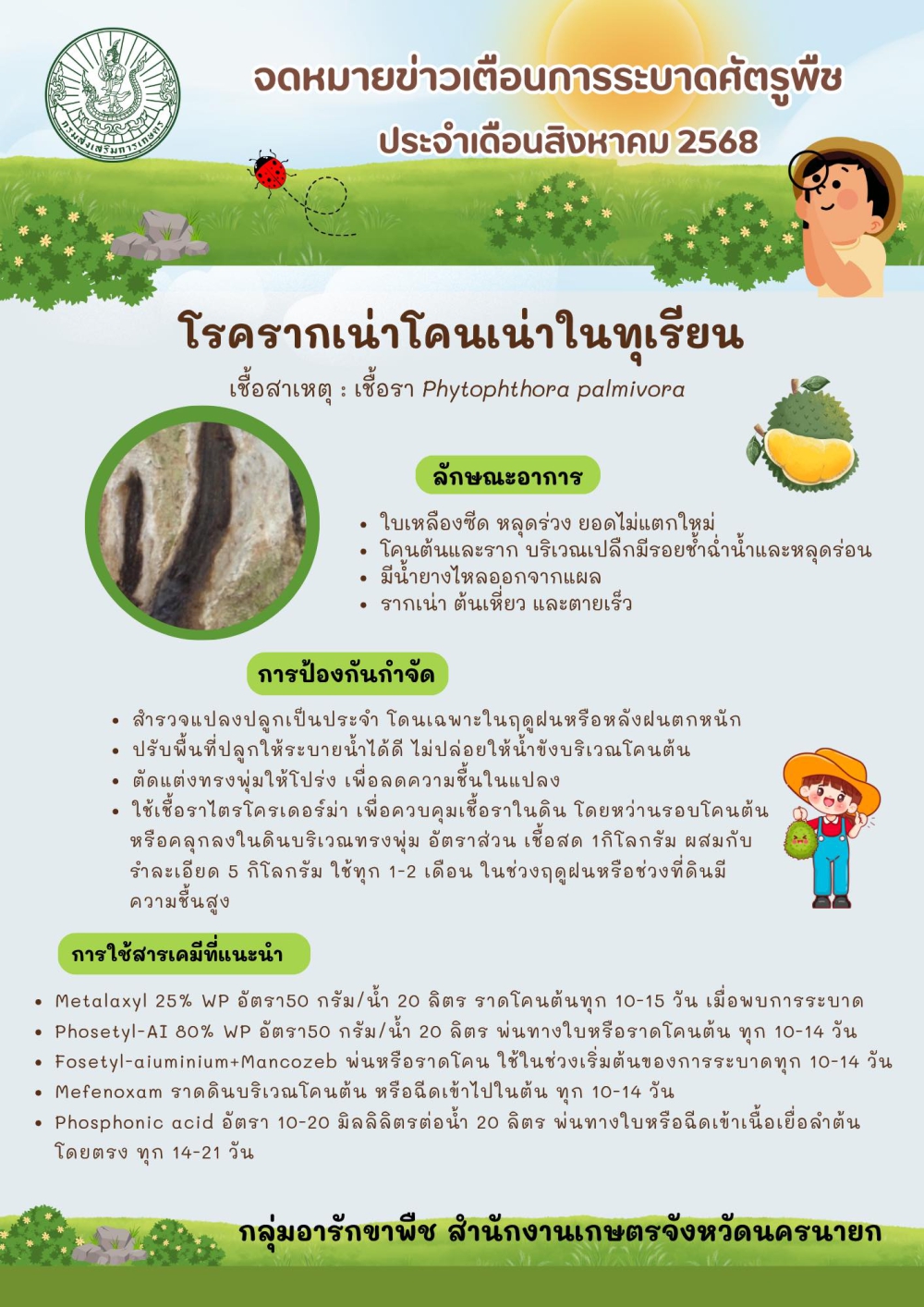 เตือนเกษตรกรชาวทุเรียน