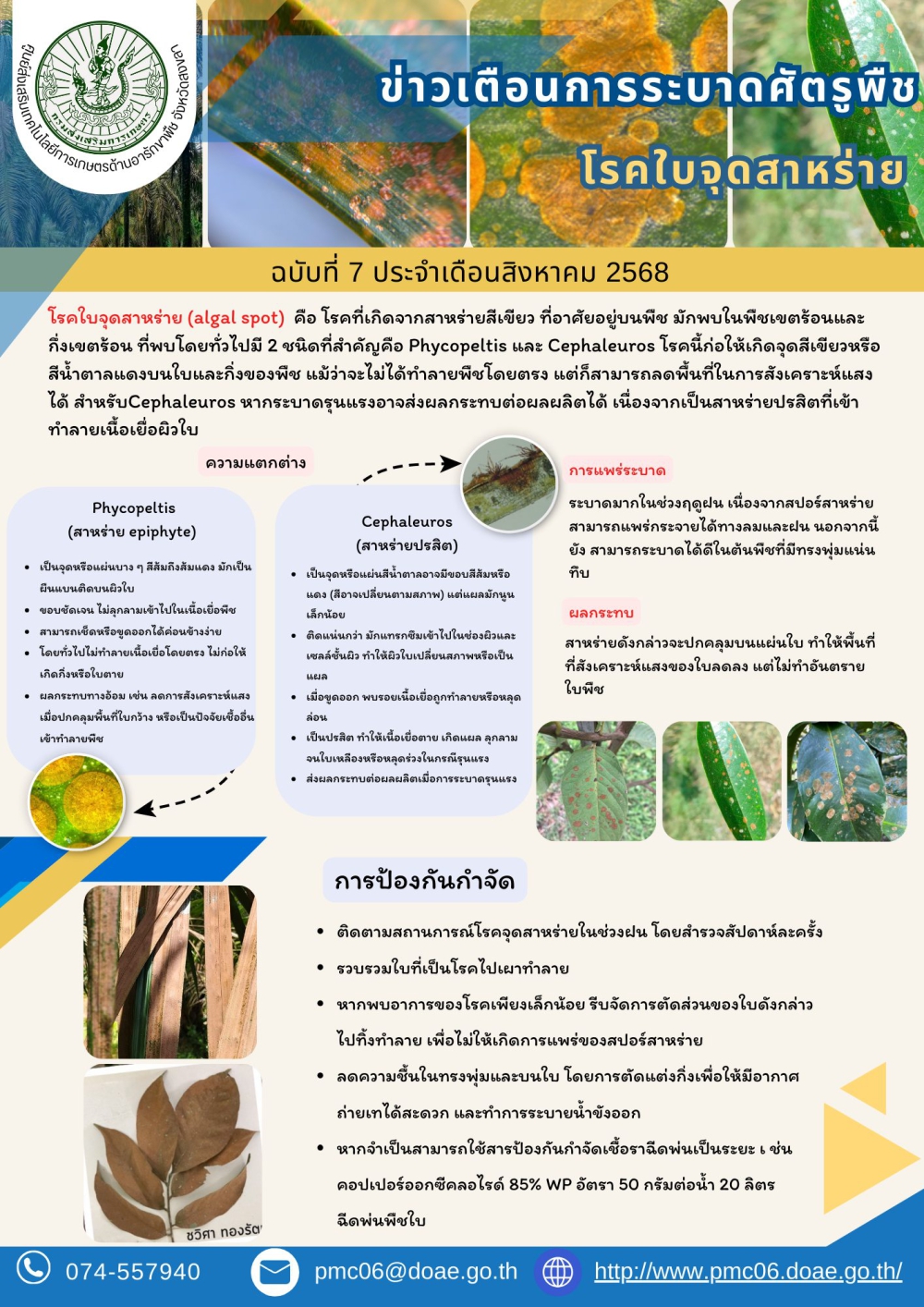 เตือนภัยเกษตรกรโรคใบจุดสาหร่ายภัยเงียบในสวน