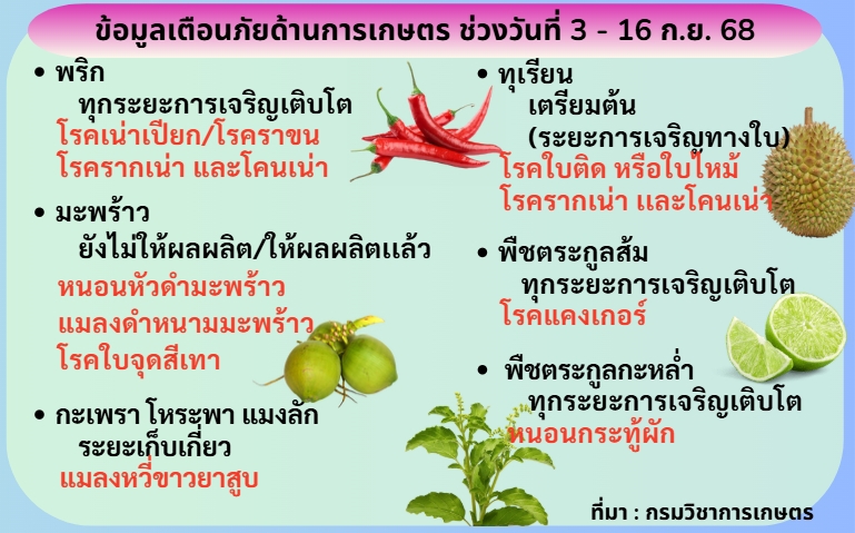 ข้อมูลเตือนภัยการเกษตร ระหว่างวันที่ 3 - 16 กันยายน 2568