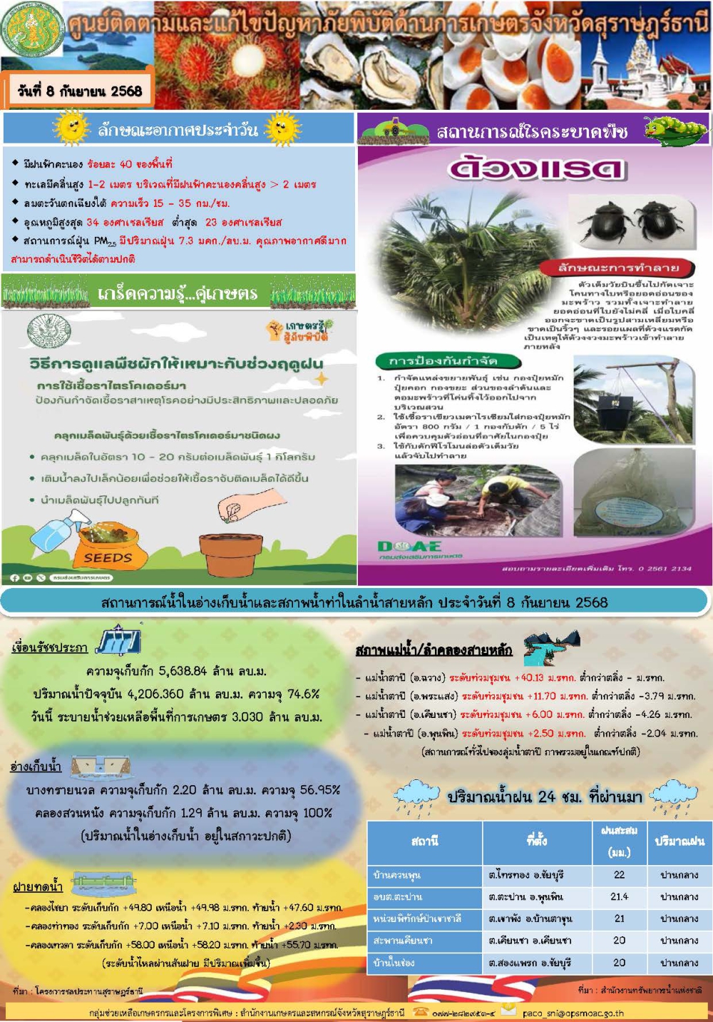 รายงานสถานการณ์ประจำวัน