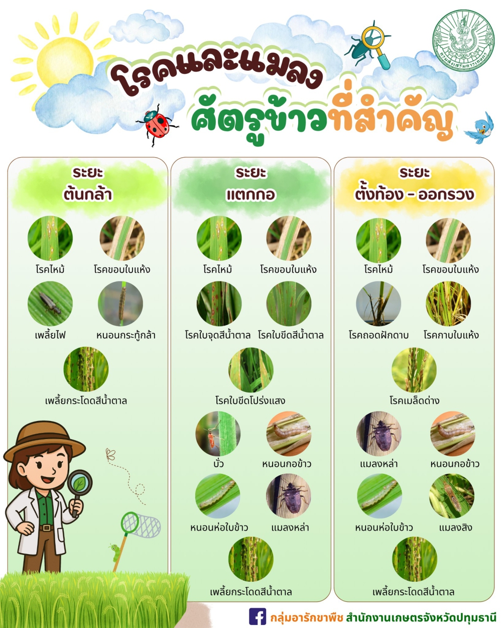 โรคและแมลงศัตรูข้าวที่สำคัญ