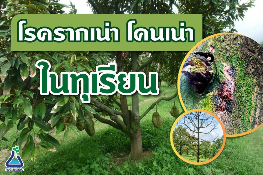 เตือนการเฝ้าระวัง