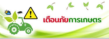 ข้อมูลเตือนภัยการเกษตร ระหว่างวันที่ 17 - 30 ก.ย.68