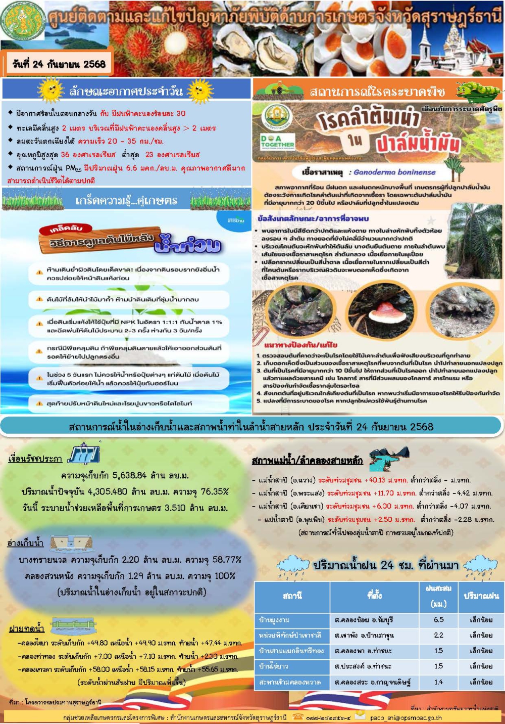 รายงานสถานการณ์ประจำวัน