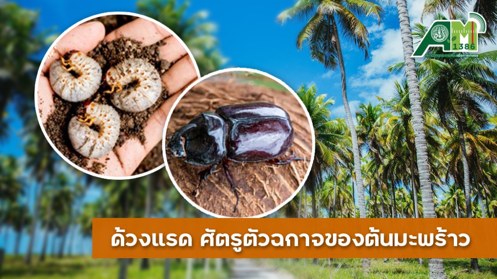 เตือนการเฝ้าระวัง