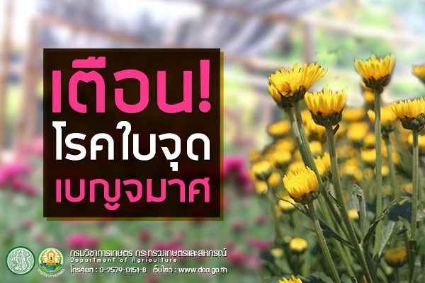 เตือนการเฝ้าระวัง