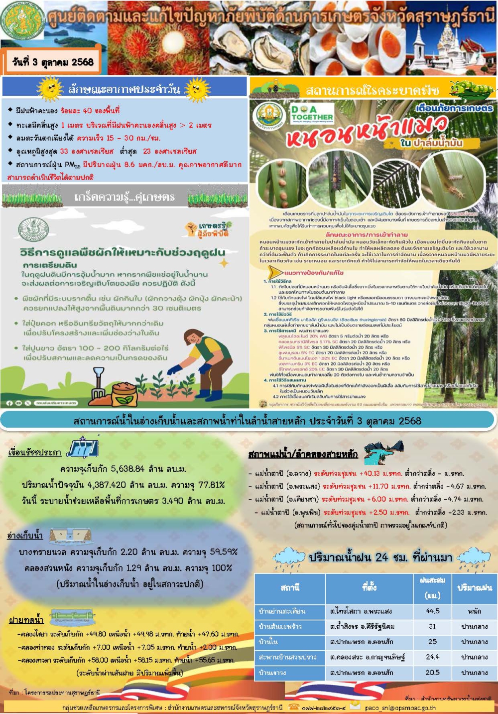 รายงานสถานการณ์ประจำวัน