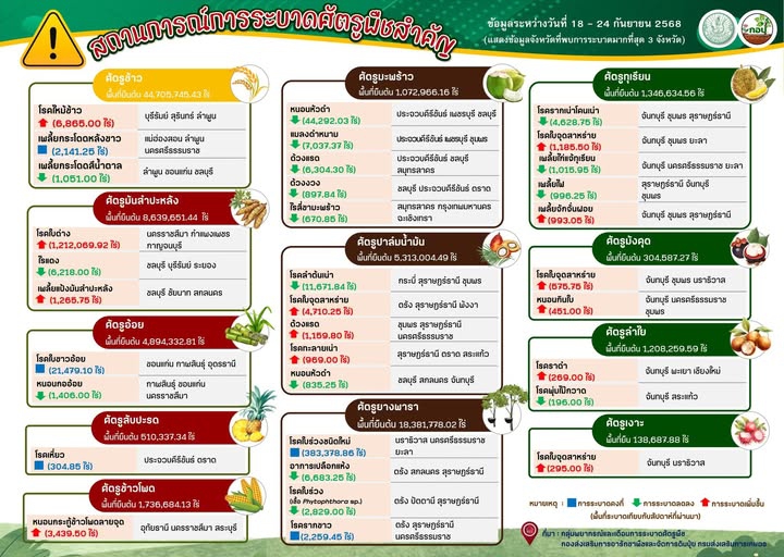 สรุปสถานการณ์การระบาดศัตรูพืชสำคัญ