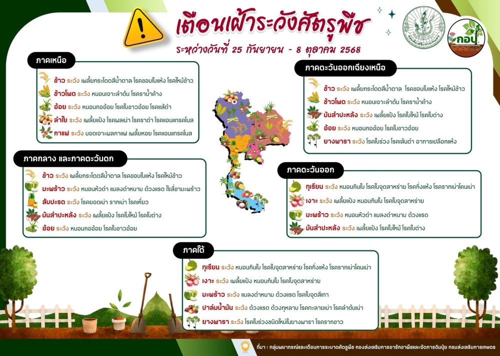 เตือน!!!!!!เฝ้าระวังการระบาดศัตรูพืช