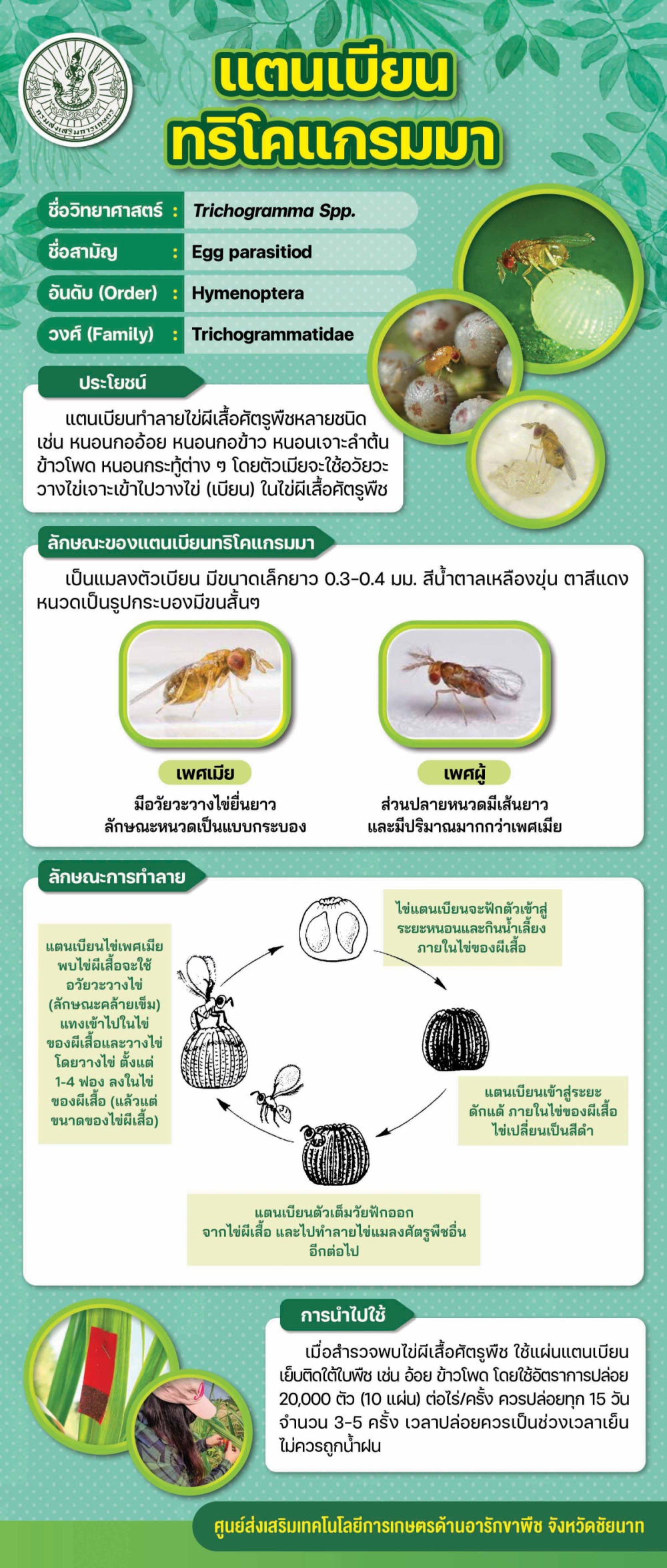 เตือนการเฝ้าระวัง