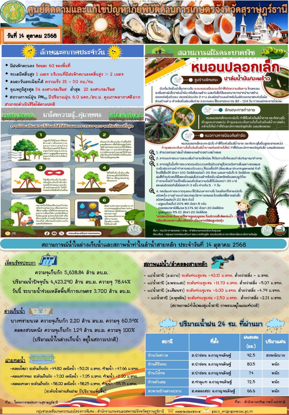 รายงานสถานการณ์ประจำวัน