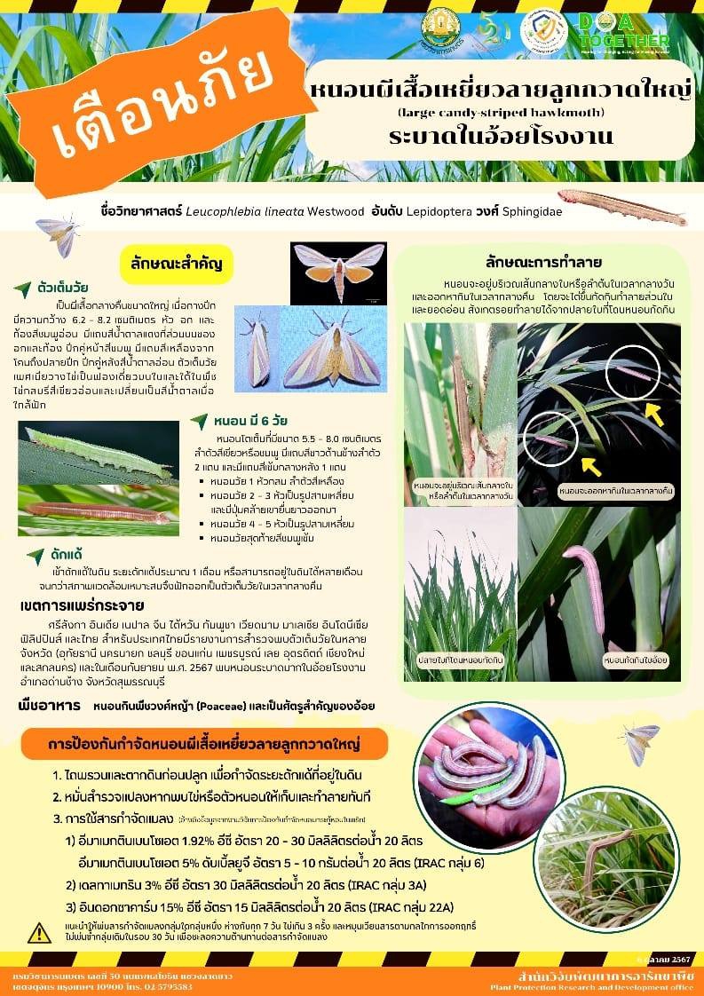 เตือนการเฝ้าระวัง