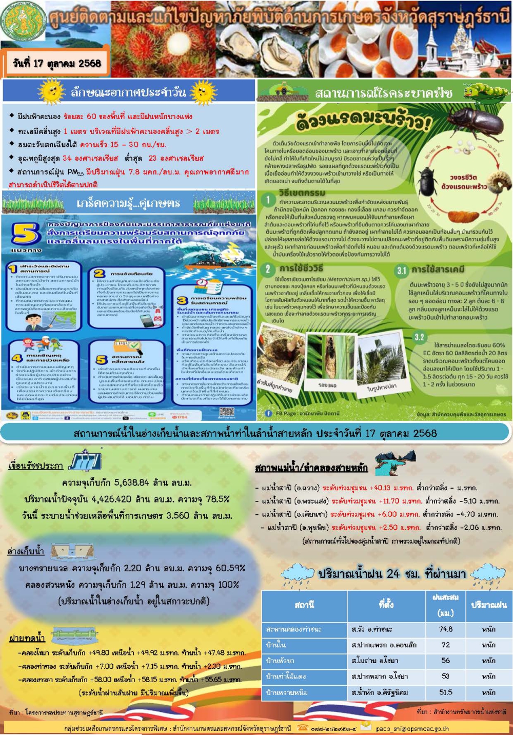 รายงานสถานการณ์ประจำวัน