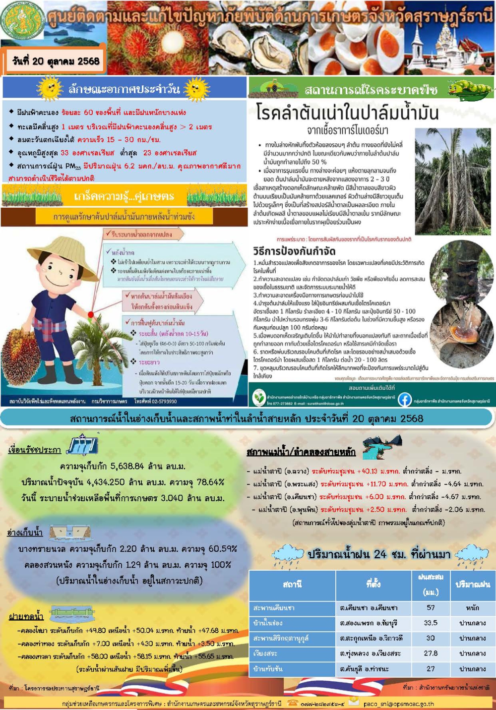 รายงานสถานการณ์ประจำวัน