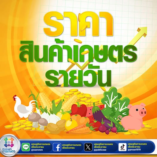 ราคากลาง หรือ ตลาดสำคัญ ประจำวันที่ 22 ตุลาคม 2568