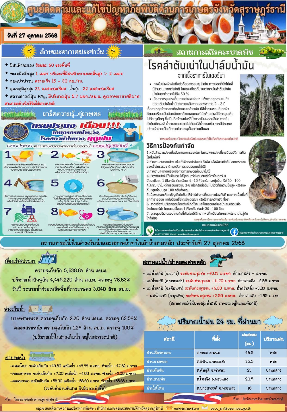 รายงานสถานการณ์ประจำวัน