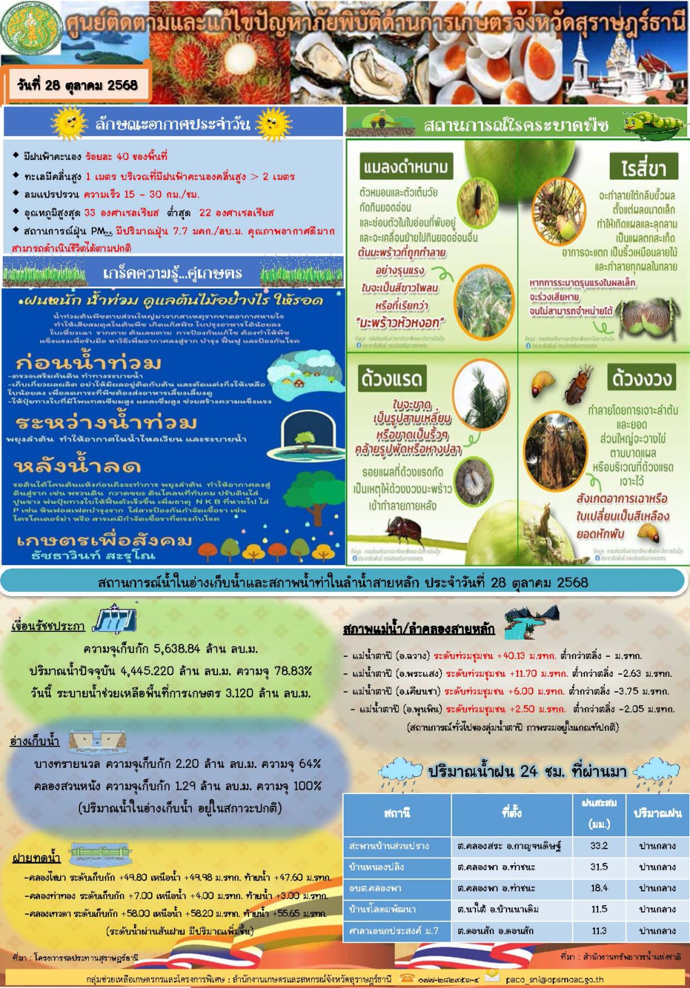 รายงานสถานการณ์ประจำวัน