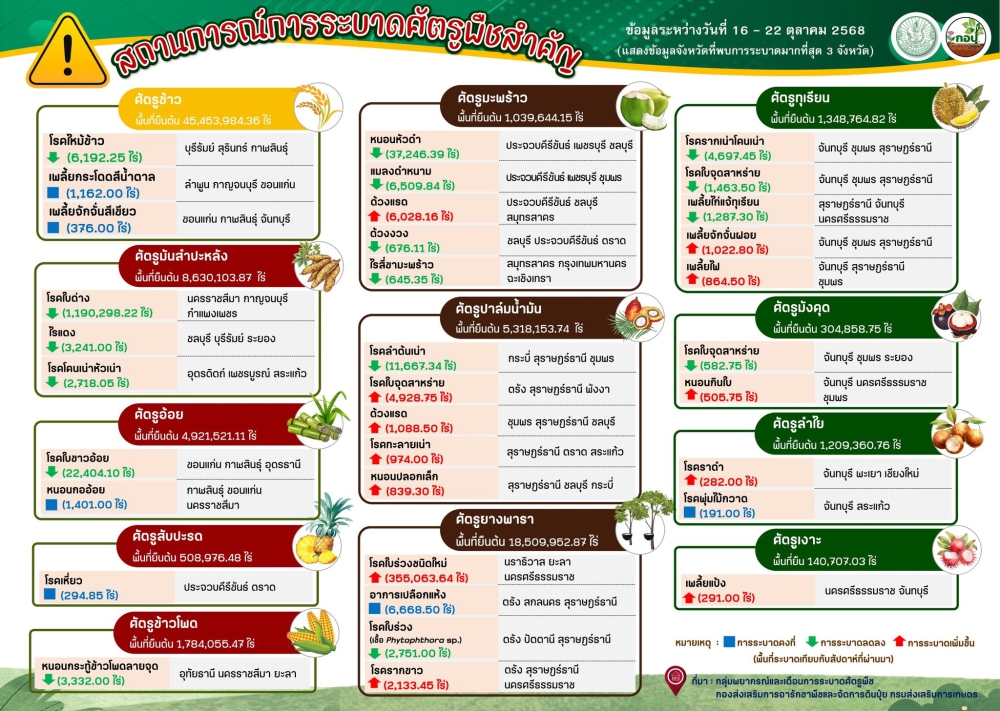 สรุปสถานการณ์การระบาดศัตรูพืชสำคัญ