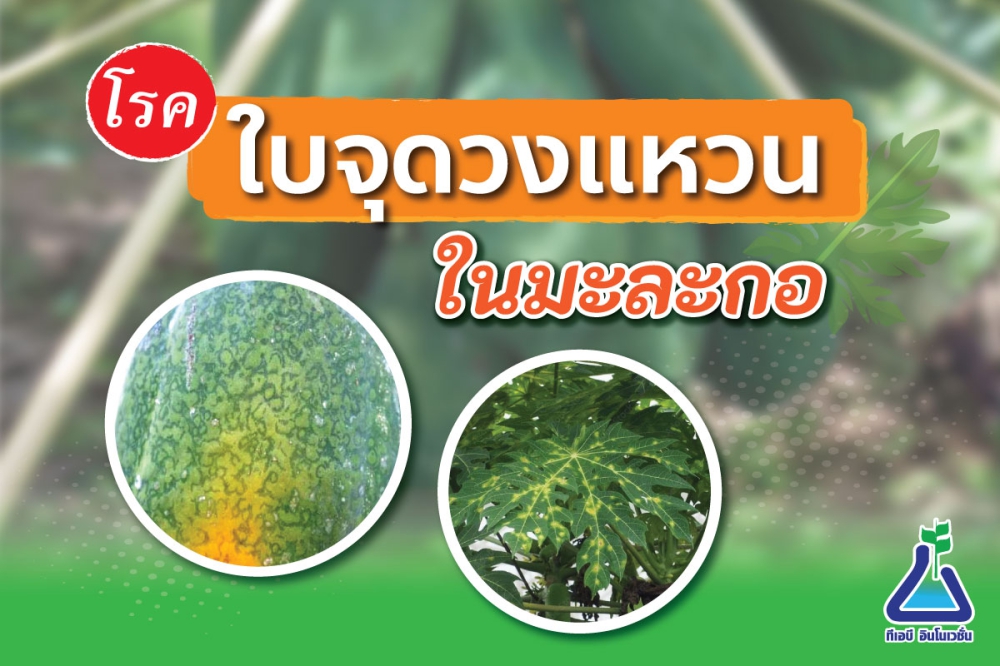 เตือนการเฝ้าระวัง