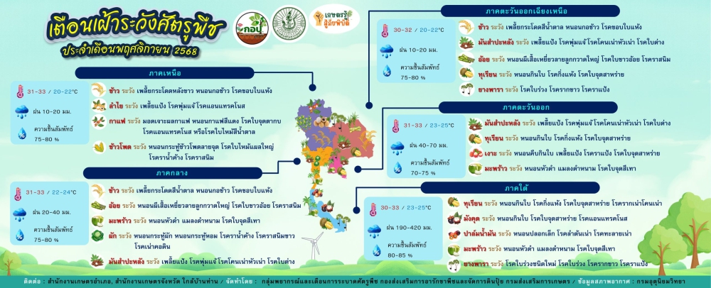 เตือนเฝ้าระวังศัตรูพืช ประจำเดือนพฤศจิกายน 2568