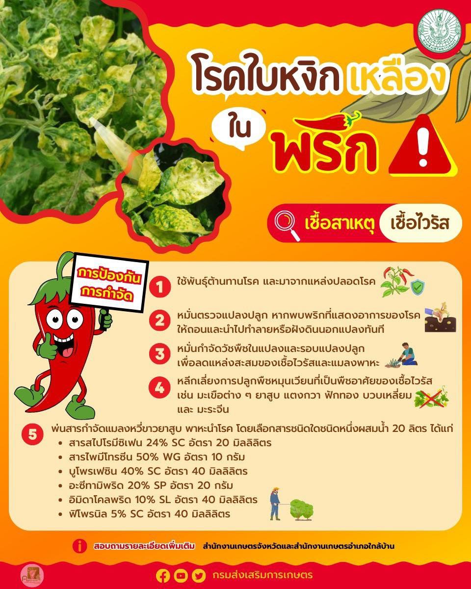 เตือนการเฝ้าระวัง