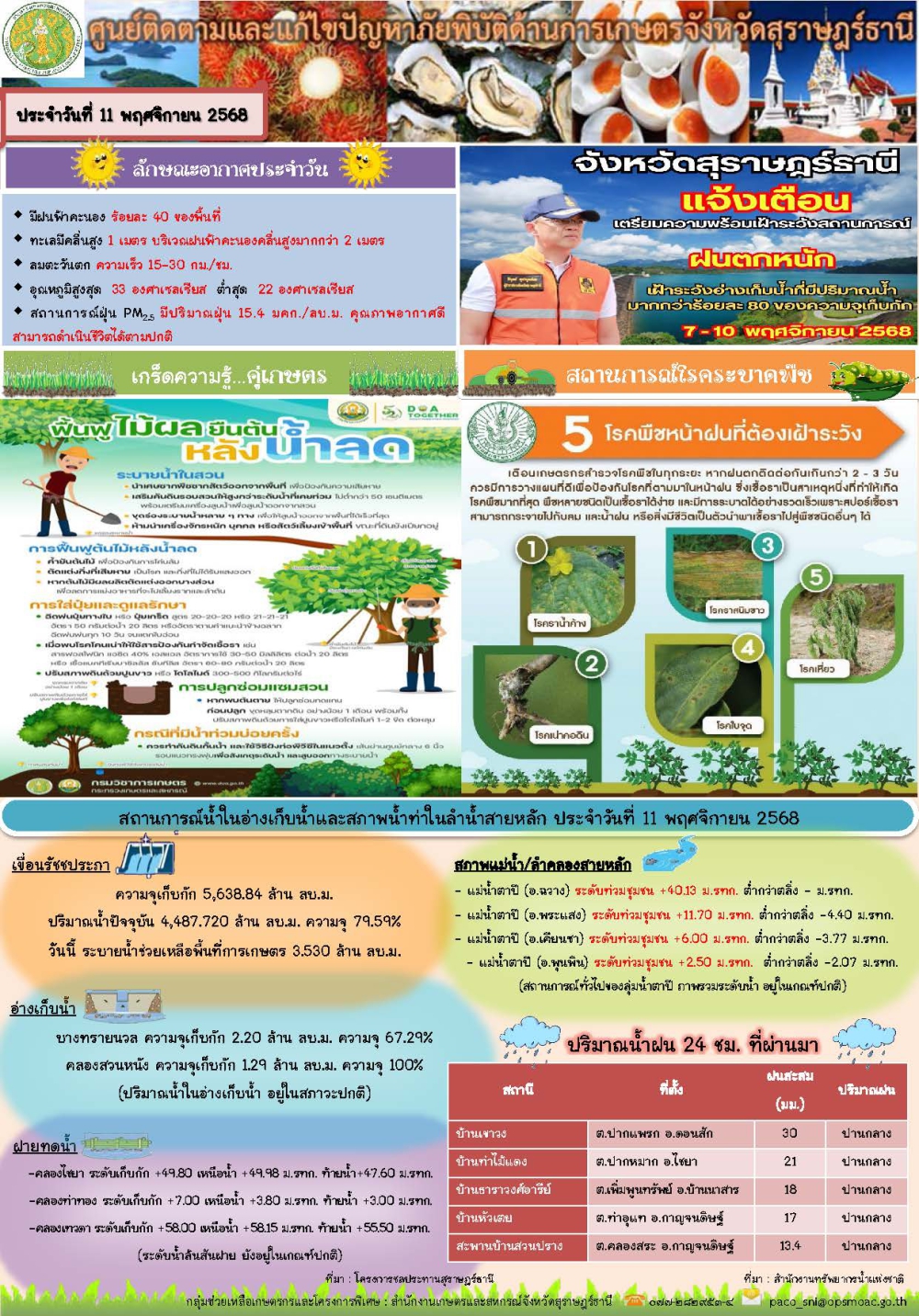รายงานสถานการณ์ประจำวัน