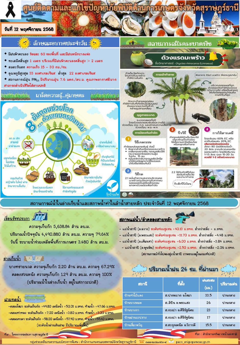 รายงานสถานการณ์ประจำวัน